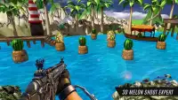 Watermeloen 3D Gun schutter Schiet op het doelwit Screen Shot 2