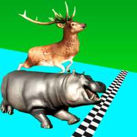 Animals Fun Race 3D