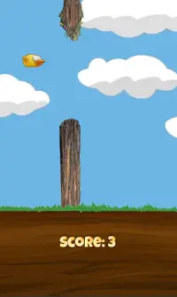 ReynaBirds – Bird Adventure Game Screen Shot 2