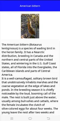 Geo Trivia : Birds Screen Shot 4
