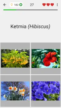 Kwiaty - Botaniczny quiz o pięknych roślinach Screen Shot 3