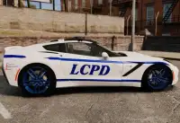 Police Car Racing in USA Screen Shot 0