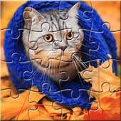 퍼즐 맞추기 고양이