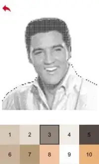 Elvis Presley Color by Number - Pixel Art Game Screen Shot 2