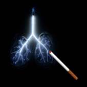 Lungs vs Cigarettes