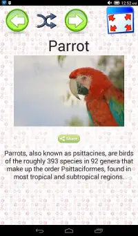 Animals Quiz & Infos Screen Shot 8