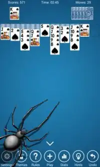 Spider Solitaire Card Screen Shot 0