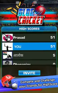Slog Cricket Screen Shot 3