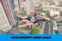 Drone Pizza Delivery Simulator 3d 2018 Screen Shot 2