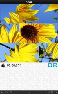 Blumen Puzzle – MPW Screen Shot 11
