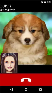 fake call video puppy game Screen Shot 1