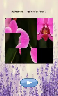 Flowers puzzle, discover which one is hidden. Screen Shot 1