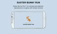 Run Bunny Screen Shot 0