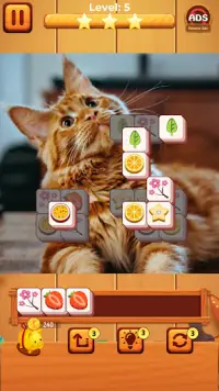 Cat match puzzle: block puzzle Screen Shot 4