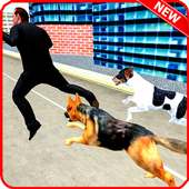 wilde Straße Hund Angriff: wütende Hunde kämpfen