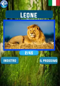 Imparare i nomi degli animali |    10 lingue Screen Shot 0