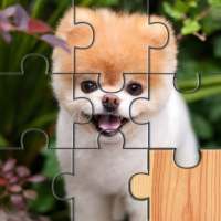 Dogs Puzzle - Kids & Adults. Free jigsaw game!