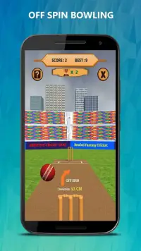 Bowled 3D - Cricket Game Screen Shot 2