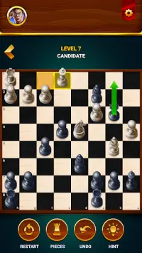 Chess - Offline Board Game Screen Shot 4