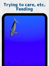 Whale training Screen Shot 1