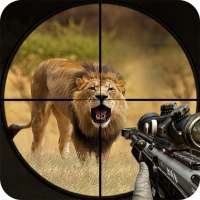 Wild Lion Hunting Deer Survivl