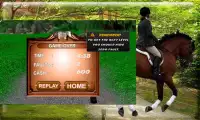 Arabian Horse Jumping Screen Shot 4