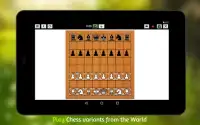 Chess  and Variants Screen Shot 12