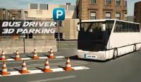 Gek Bus Chauffeur - Parkeren Screen Shot 10