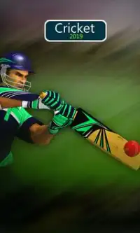 Cricket 2019 Screen Shot 1