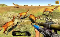 Wild Deer Hunting Adventure: Animal Shooting Games Screen Shot 1