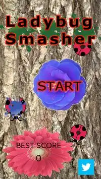 Ladybug Smasher 【Popular Apps】 Screen Shot 0