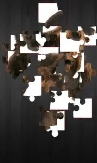 Jigsaw Picture For Kids Screen Shot 0