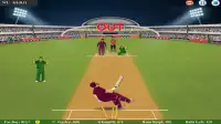 Fat Cricket Batsman Screen Shot 1