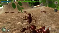 Ameisen Simulation 3D Screen Shot 1