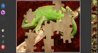 Jigsaw Puzzle HD Free Games Screen Shot 4