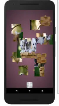 لعبة بازل وتركيب صور القطط الجميلة Puzzle  مجانية Screen Shot 5