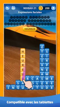 Word Puzzle: Jeu de Mots Screen Shot 4