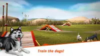 Dog Hotel – Play with dogs and manage the kennels Screen Shot 5