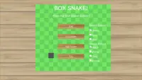 Box Snake Screen Shot 1