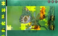Butterfly Jigsaw Puzzle 01 Screen Shot 1