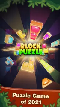 Block Puzzle 2021: Jewel Brick Puzzle Screen Shot 5
