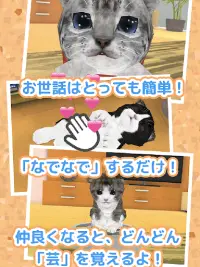 ねこ育成ゲーム - 完全無料！子猫をのんびり育てるアプリ！かわいいねこゲーム！ Screen Shot 5