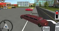 Limousine City Parking 3D Screen Shot 9