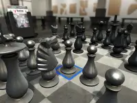 Pure Chess Screen Shot 1