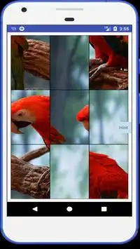 Tile Puzzles Screen Shot 3