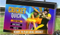 Quick Cricket Screen Shot 0