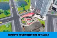 Drone Pizza Delivery Simulator 3d 2018 Screen Shot 6
