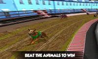 Crazy Real Dog Race: Greyhound Racing Game Screen Shot 2