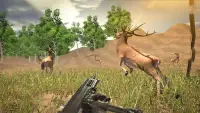 Simulator Hunting - Call Of The Wild Screen Shot 3