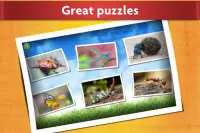 Insect Jigsaw Puzzles Game - For Kids & Adults 🐞 Screen Shot 1